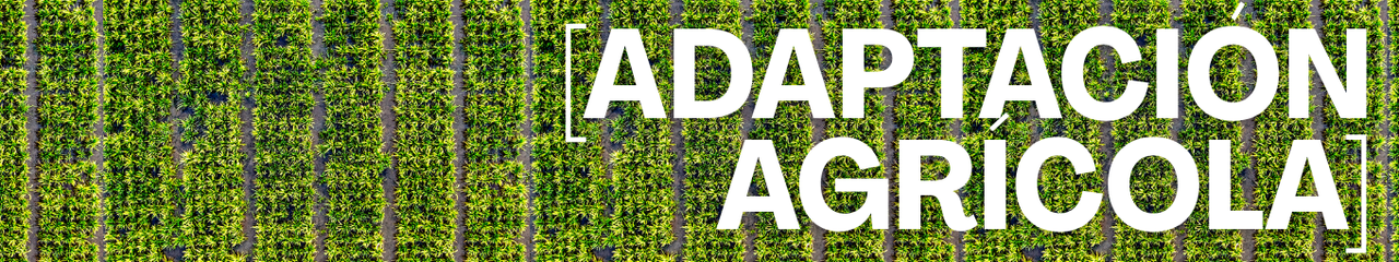 User Cover Image