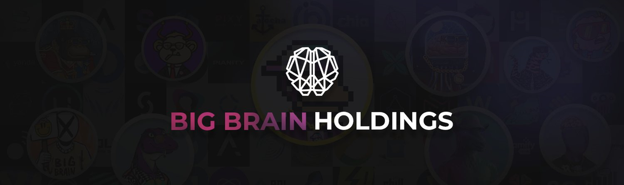 Big Brain Holdings