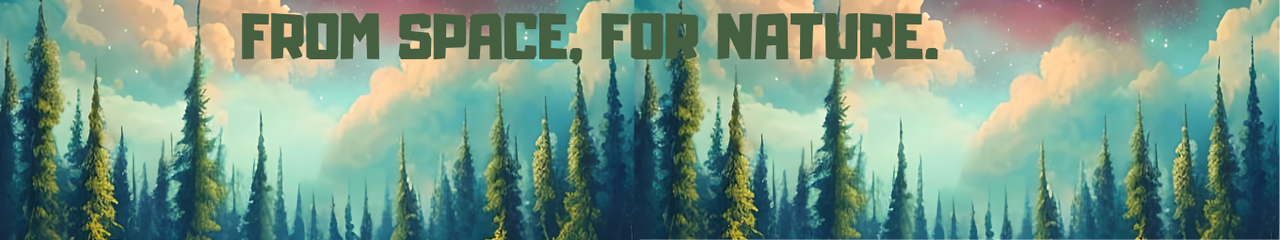 User Cover Image
