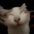 Wiston