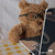 honzz_0116