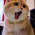 peicwu