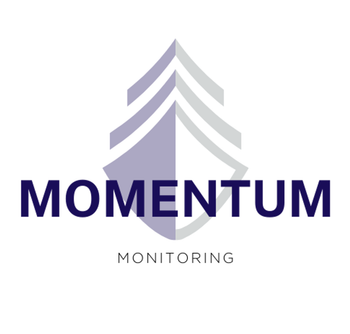 Momentum