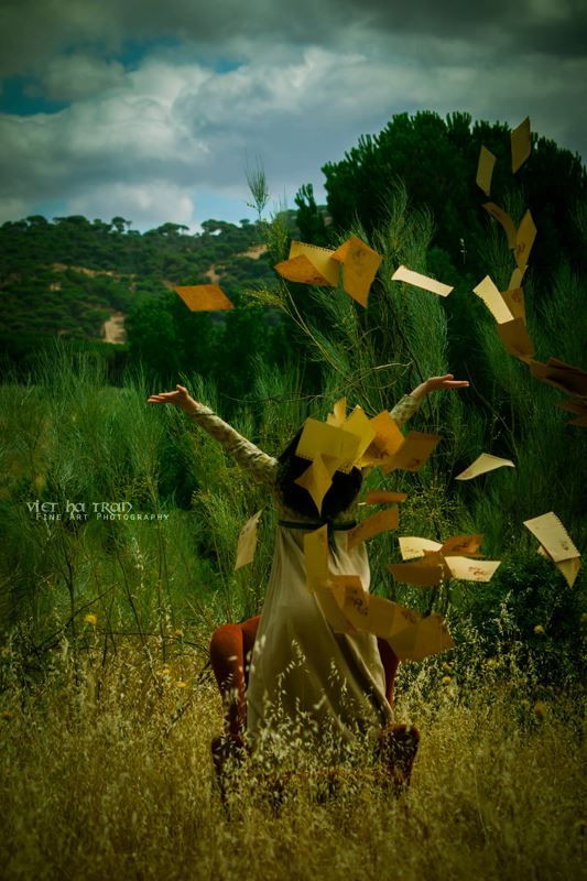 User Cover Image