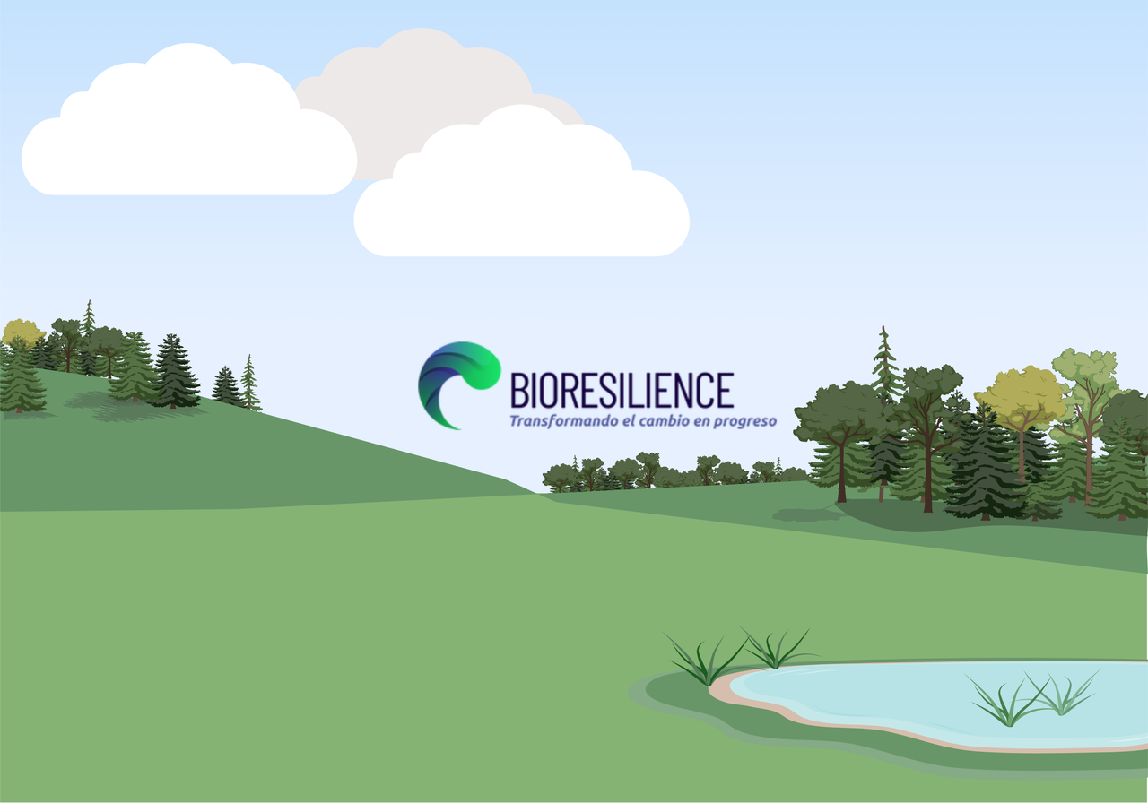 User Cover Image