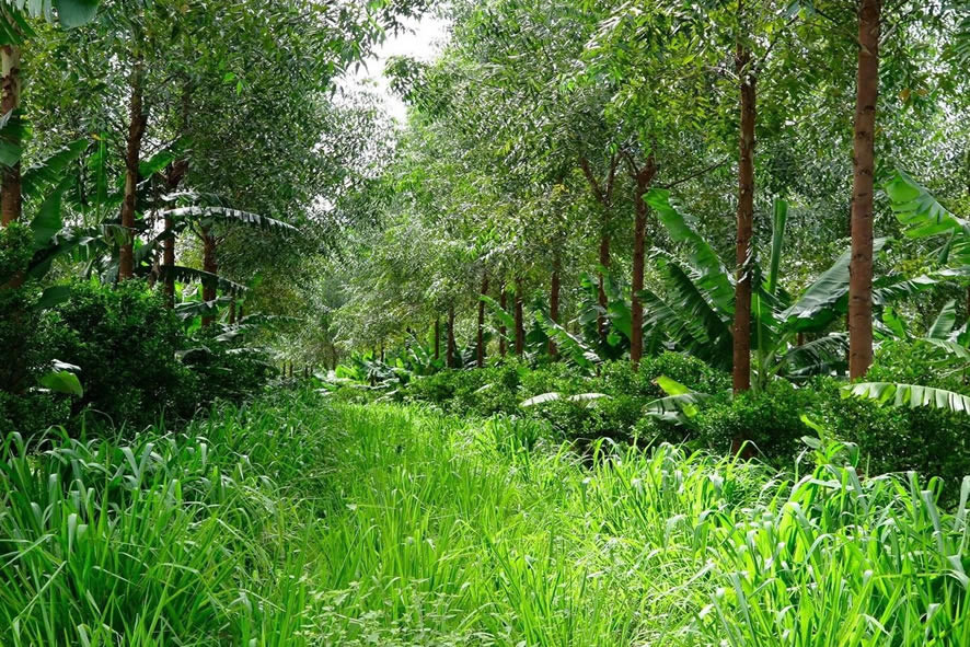 User Cover Image