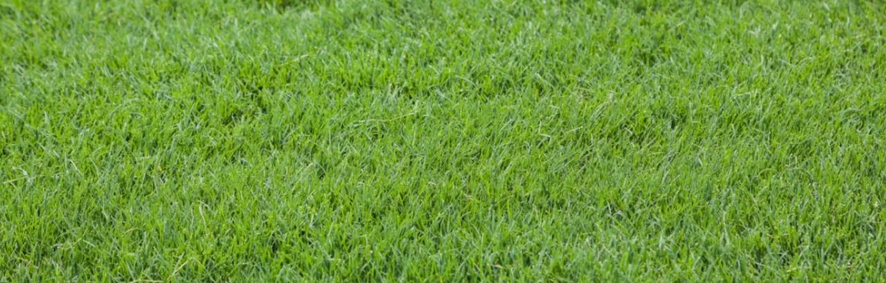 User Cover Image