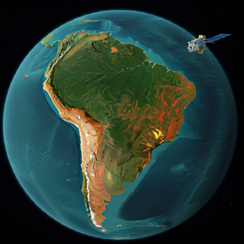 Ojos en la Selva: Detectando Cambios