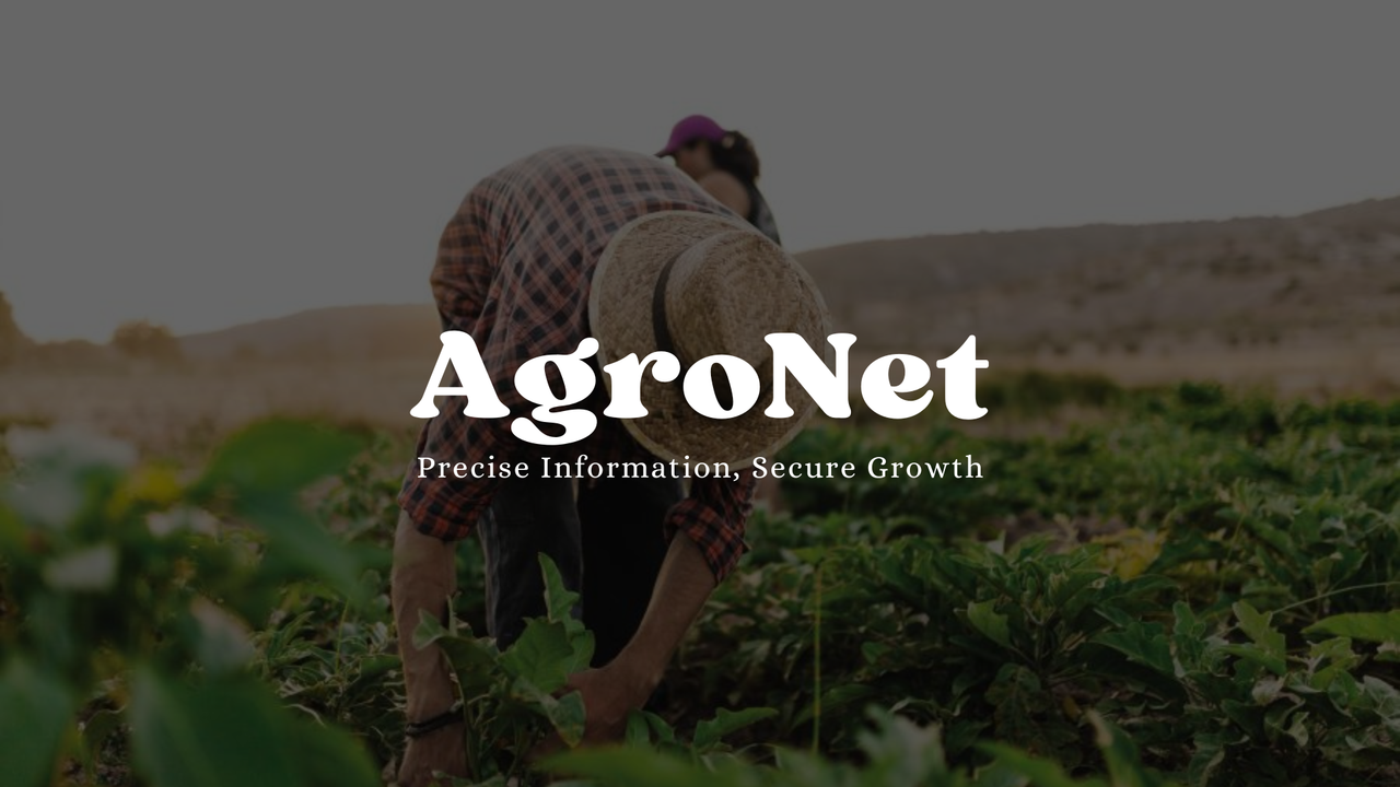 User Cover Image