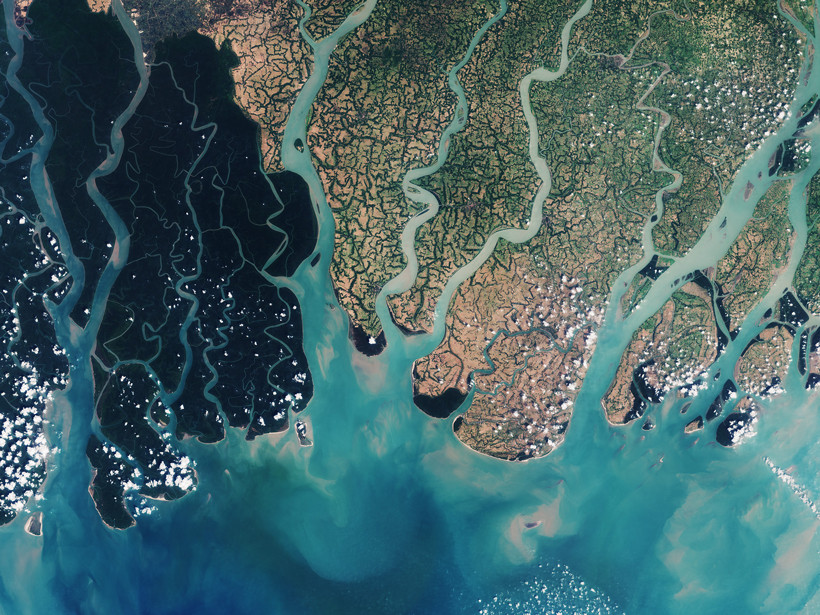 User Cover Image