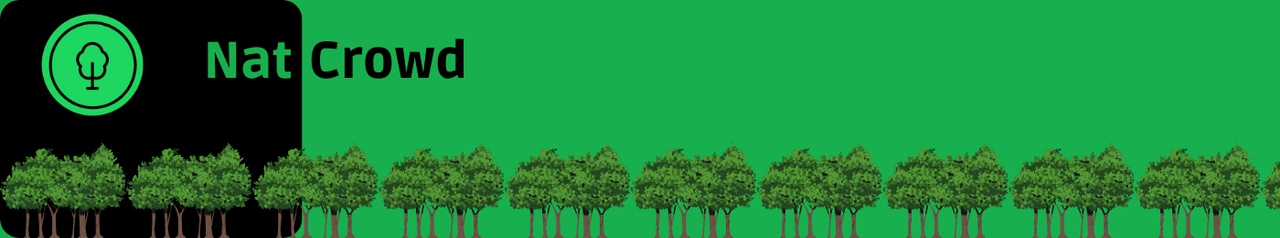 User Cover Image
