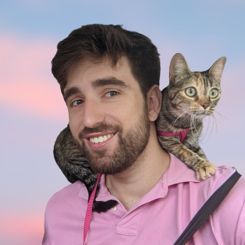 hugo0