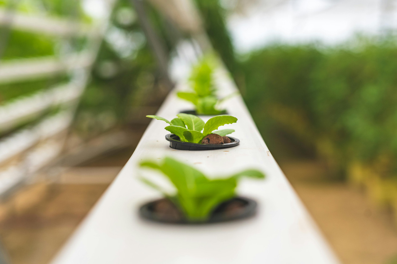 User Cover Image