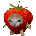 Randomberries