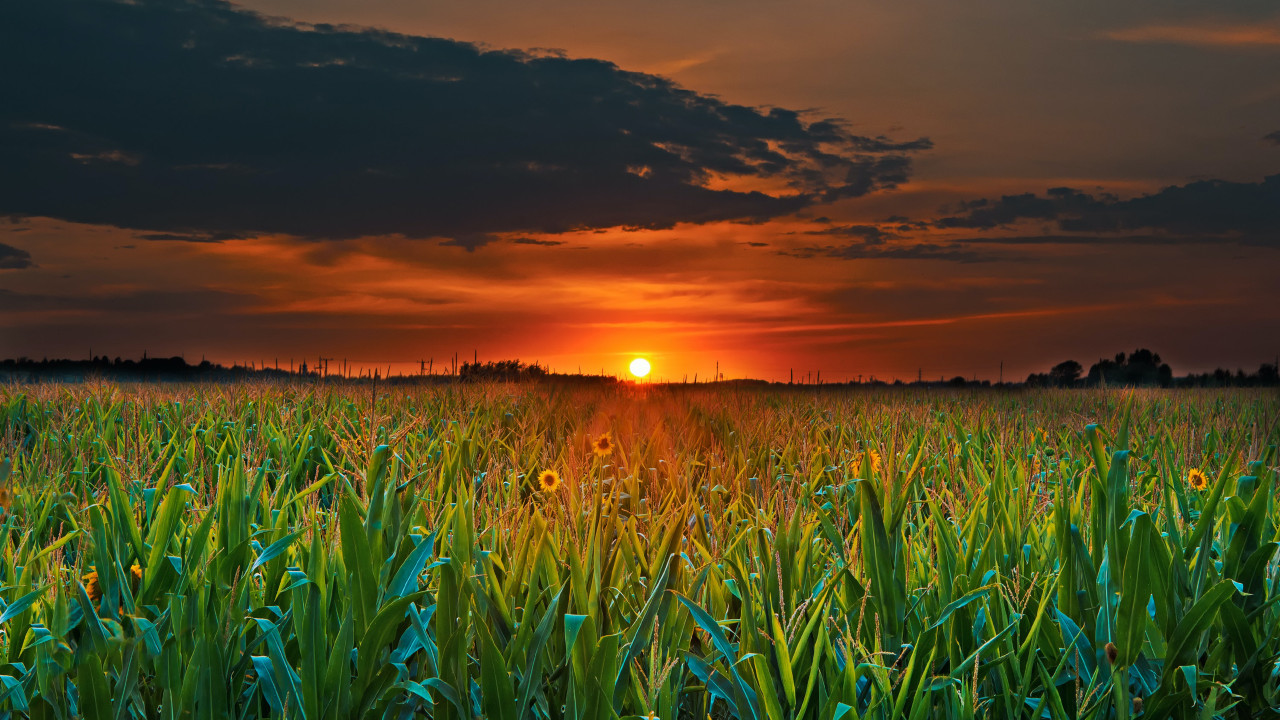 User Cover Image