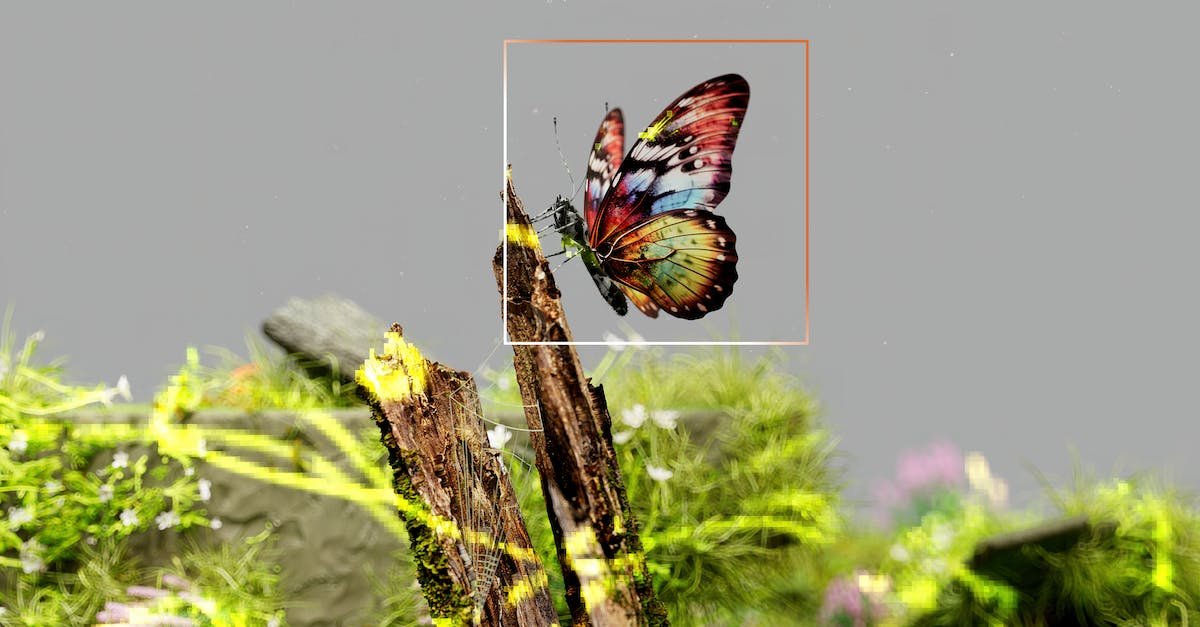 User Cover Image