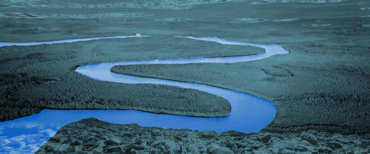 User Cover Image