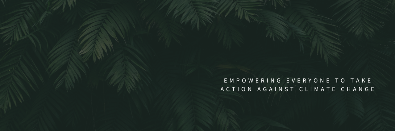 User Cover Image