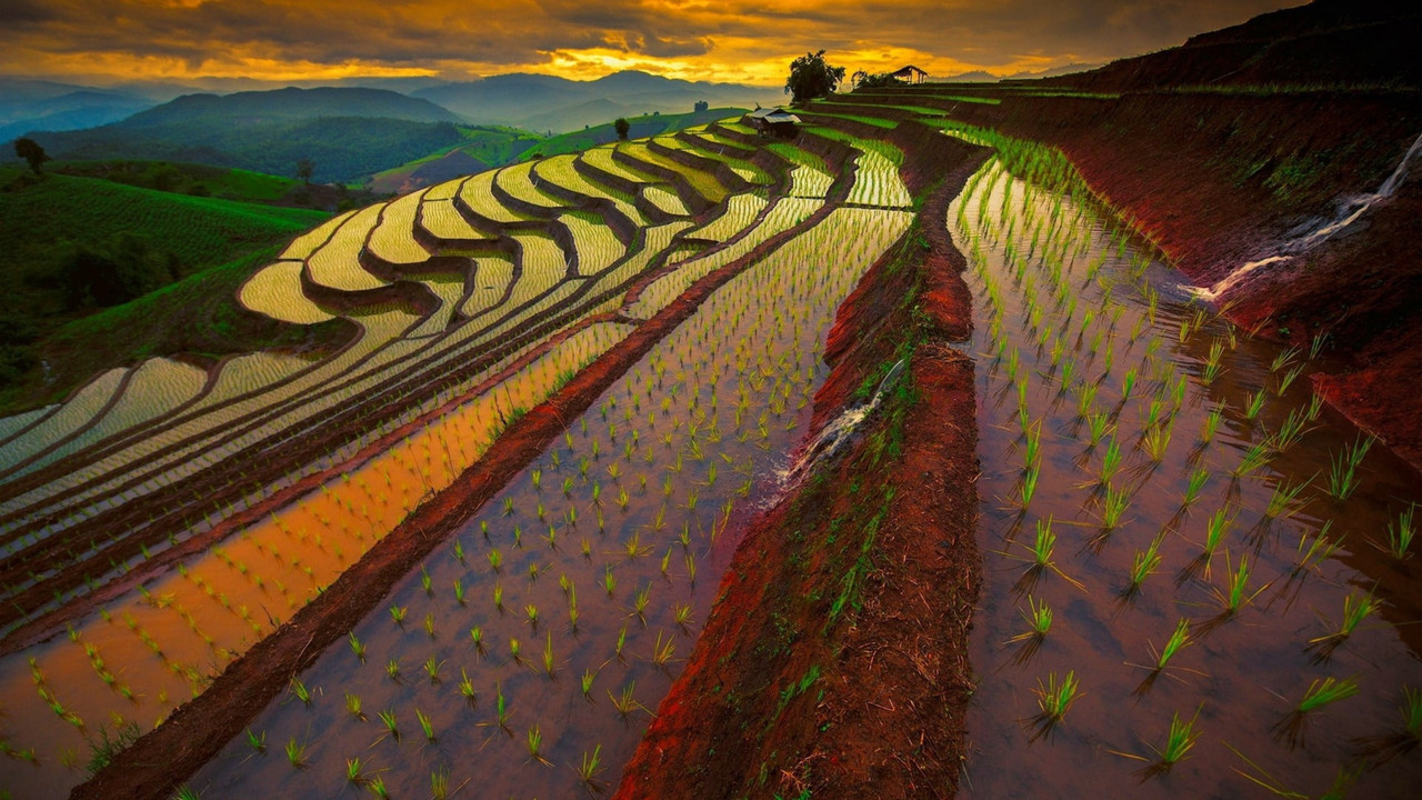 User Cover Image