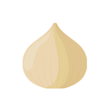 CIBULE