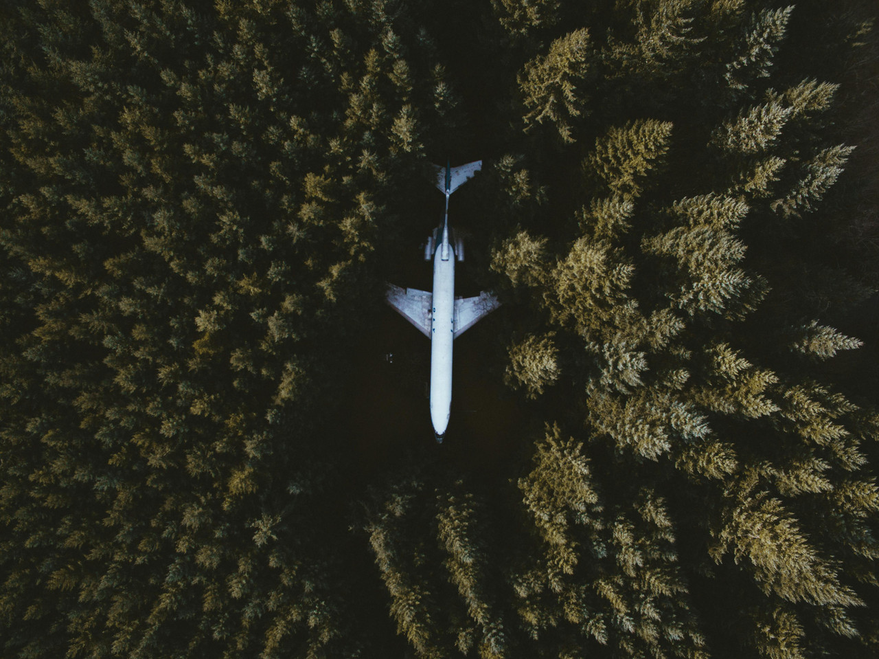 User Cover Image