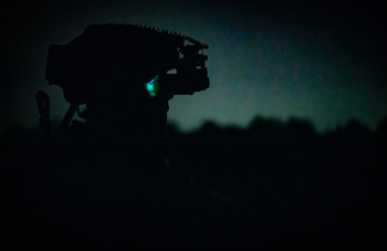 Cordyceps: Presented by LoRaLegion