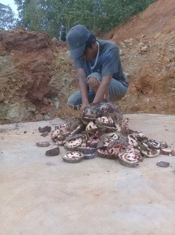 ekotriyadi