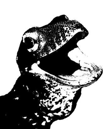 komowai