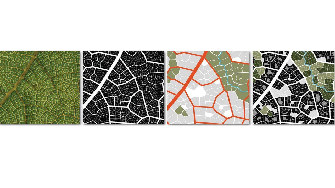 User Cover Image