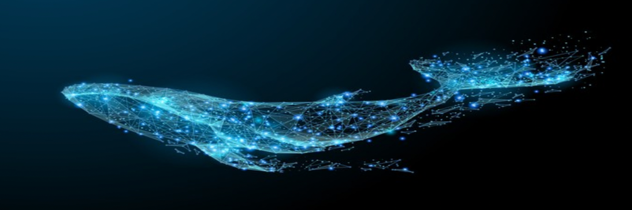 User Cover Image