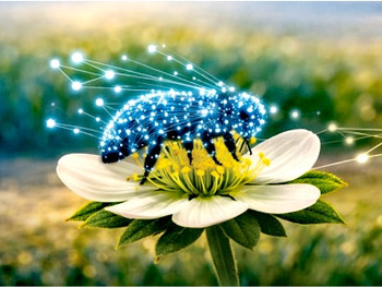ABEJA VERDE EO