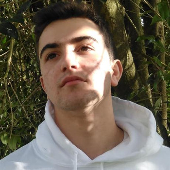flipgoncalves