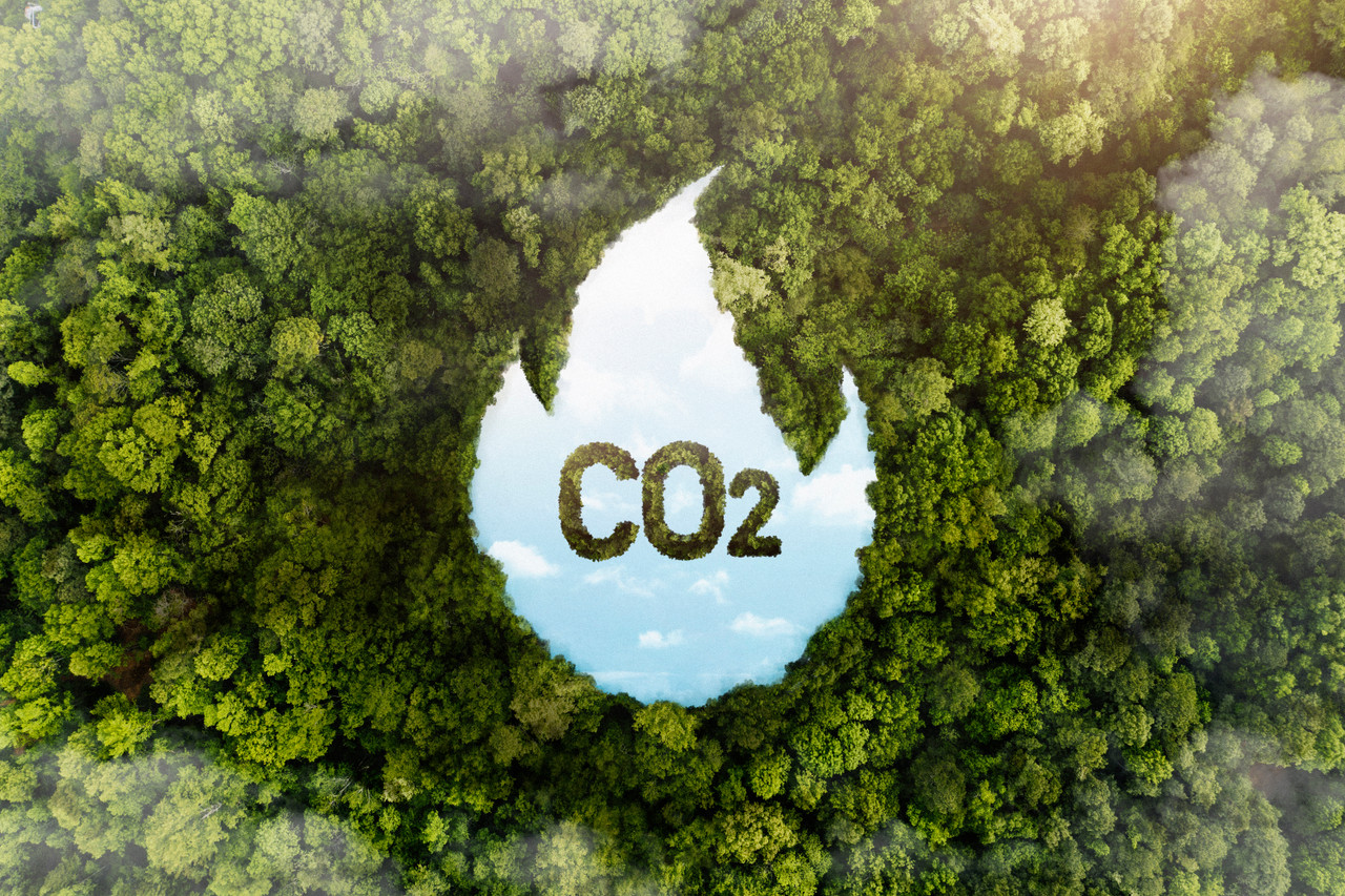 User Cover Image