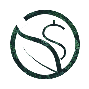 Carbonswap