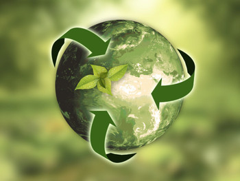 22-Sustainable E-Shopping Choices