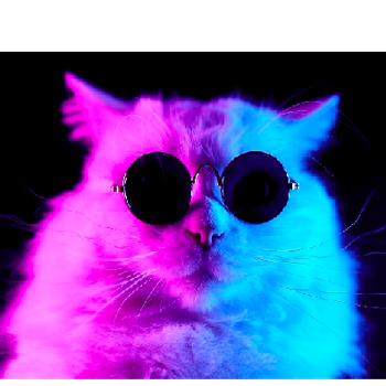 duxxud