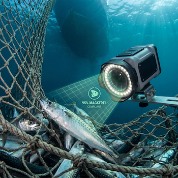 BlueVantage: Orbital Net-Intelligence