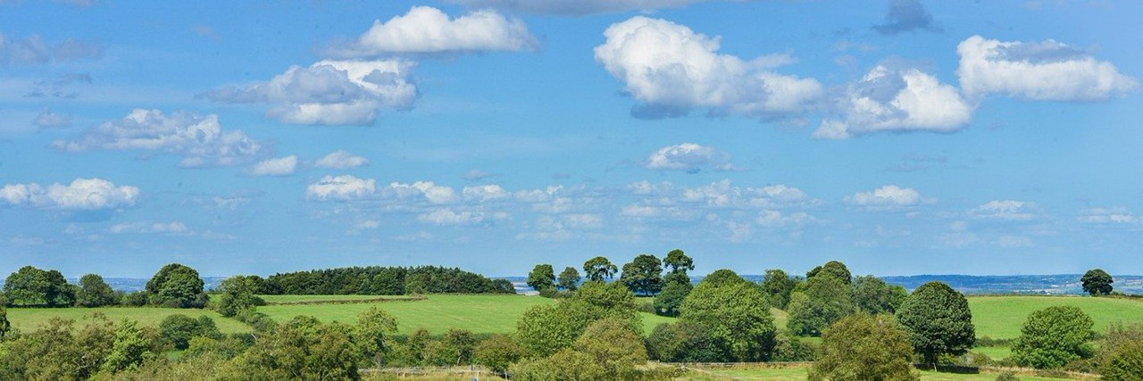 User Cover Image