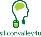 Silicon Valley4u