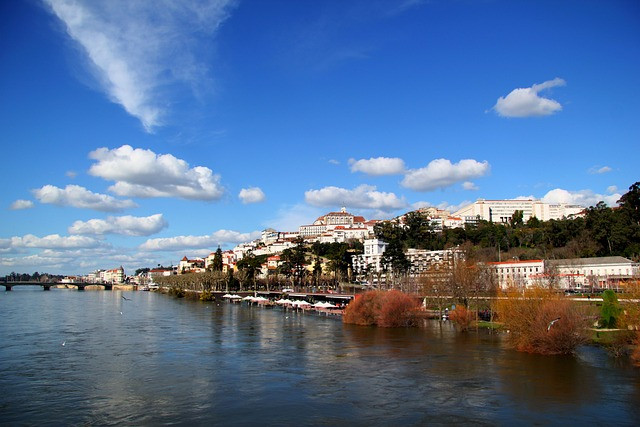User Cover Image