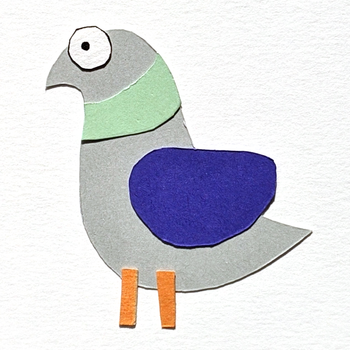 PIGEON