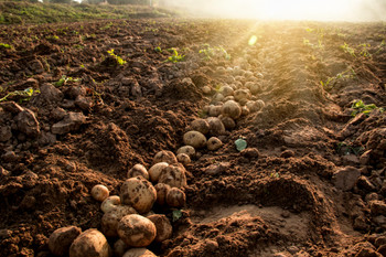 Localized Climate Risk Intelligence for the Raw Material Sourcing