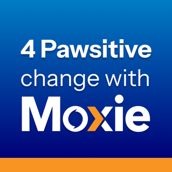 4 Pawsitive Change with Moxie