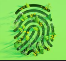 Green Cable